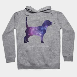 galaxy beagle Hoodie